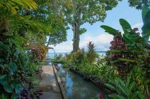 Fish Pond View