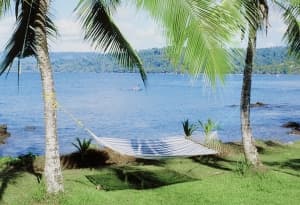Hammock#3
